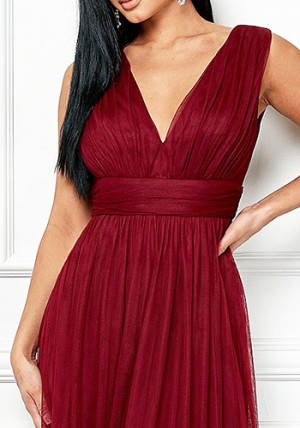 Melody Soft Tulle Dress in Burgundy
