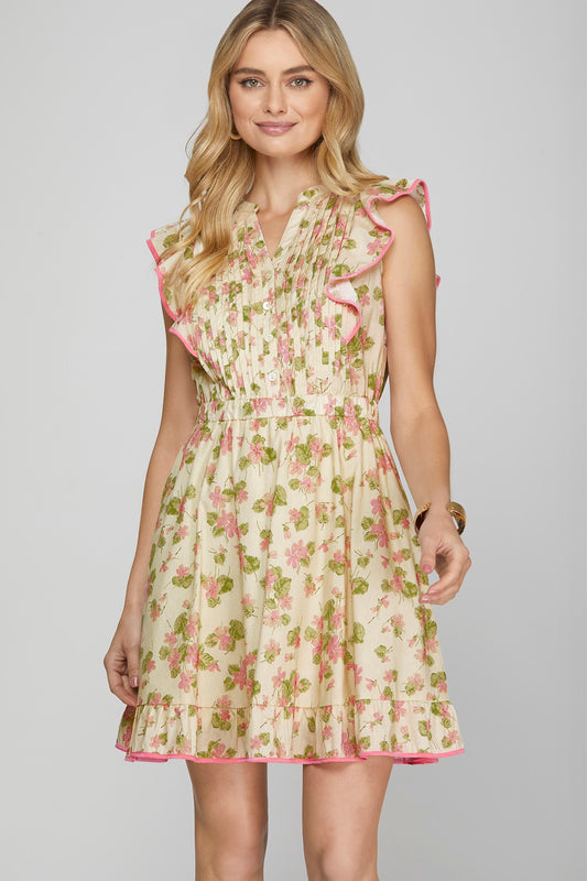 Clearly Smitten Dress
