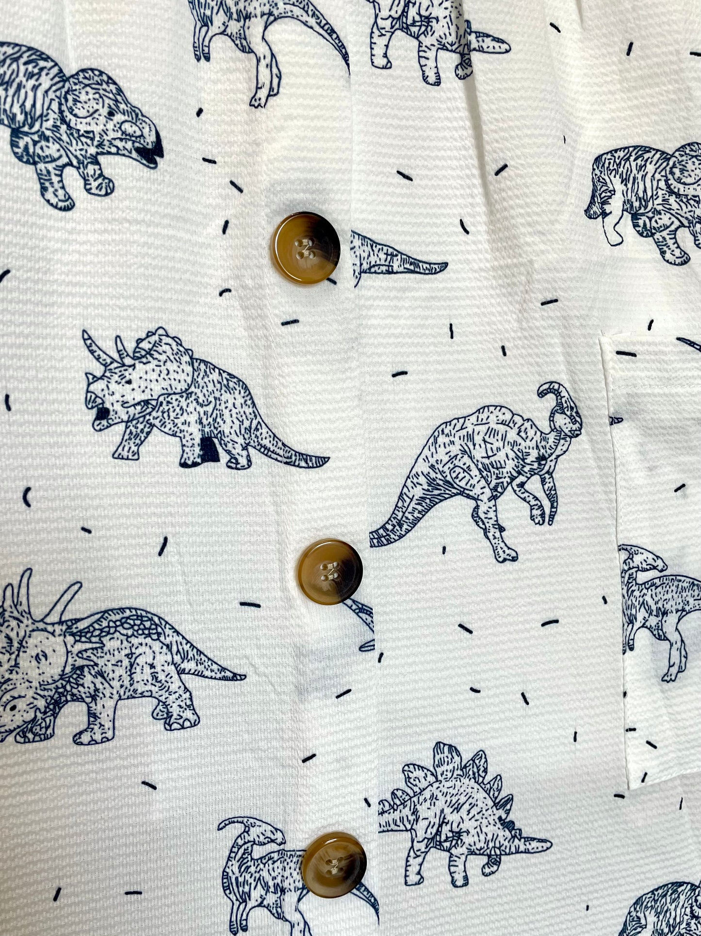 Out Of Town Dress in Dino