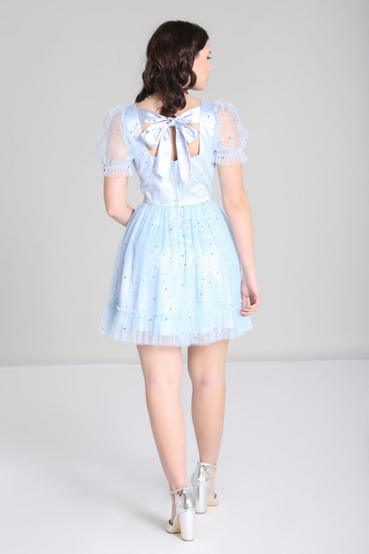 PRE-ORDER: Modern Day Cinderella Dress