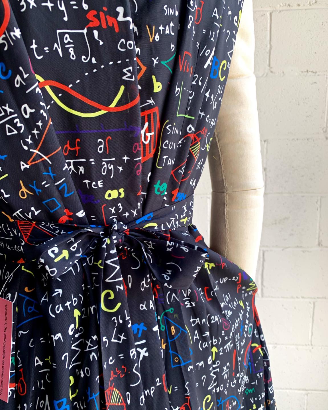 PRE-ORDER: Math Class Dress