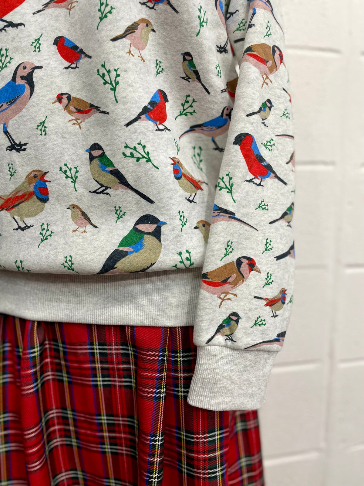 Sweatshirt - Multi Birds