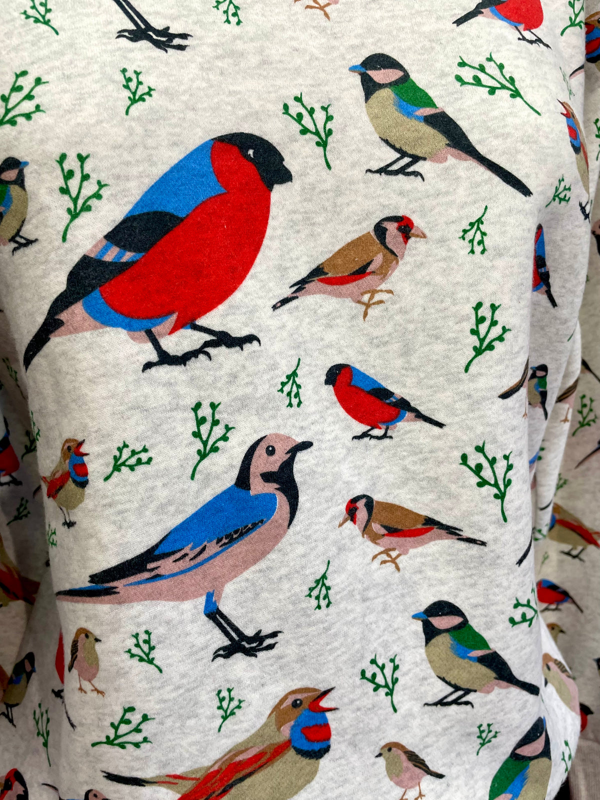 Sweatshirt - Multi Birds