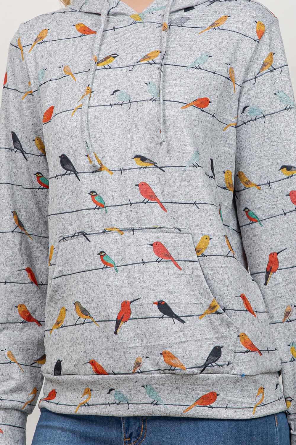 PRE-ORDER: Hoodie Birds On Wire