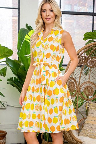 Vitamin C Dress - Plus