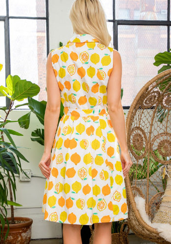 Vitamin C Dress - Plus