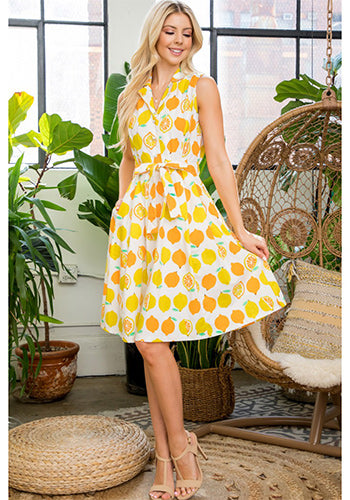 Vitamin C Dress - Plus