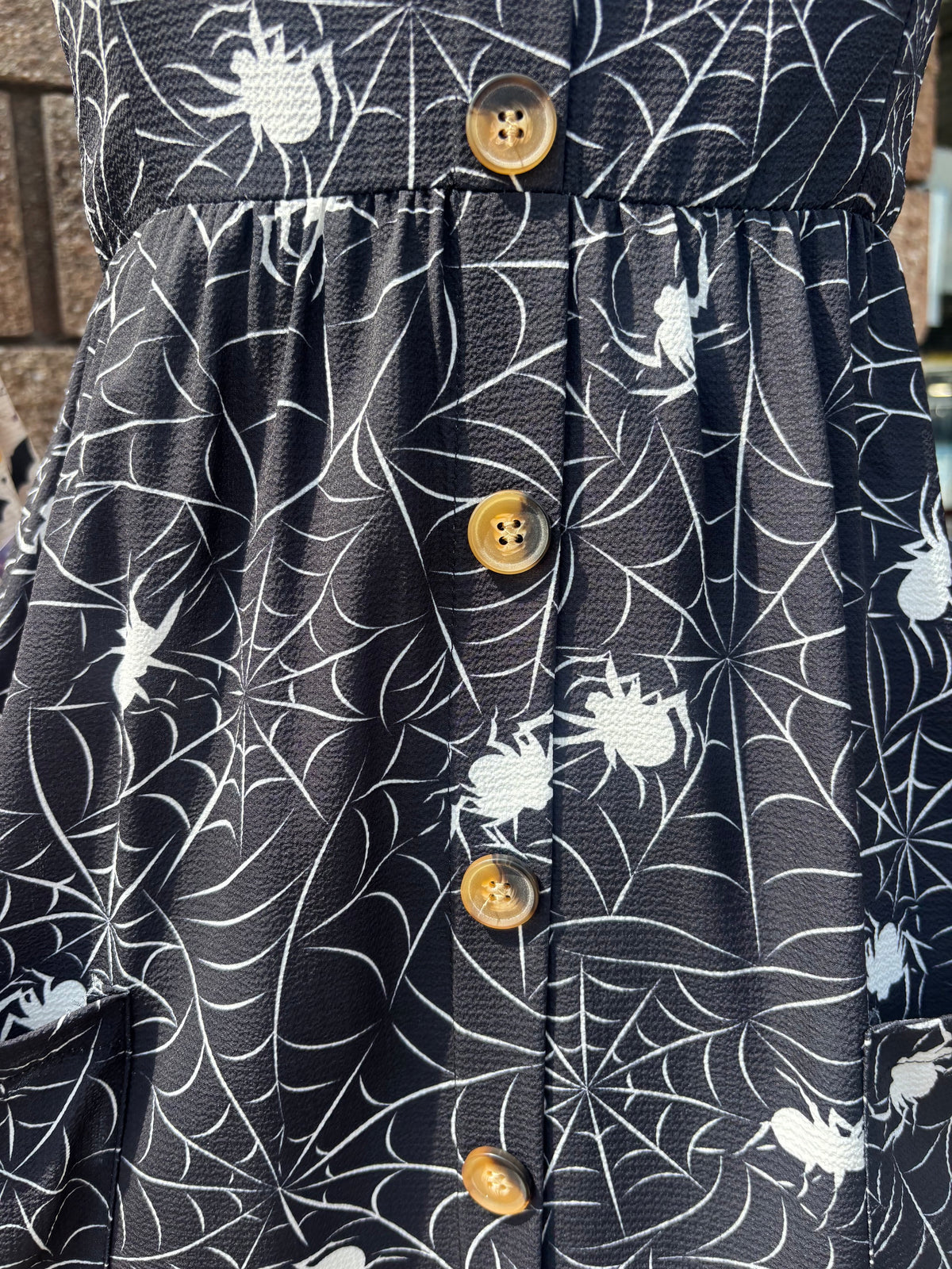 Out Of Town Dress Spiders