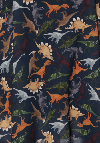Dino Museum Dress in Multi - Click Image to Close