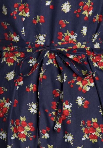 Heirloom Dress - $55.97 : Women's Vintage-Style Dresses & Accessories ...